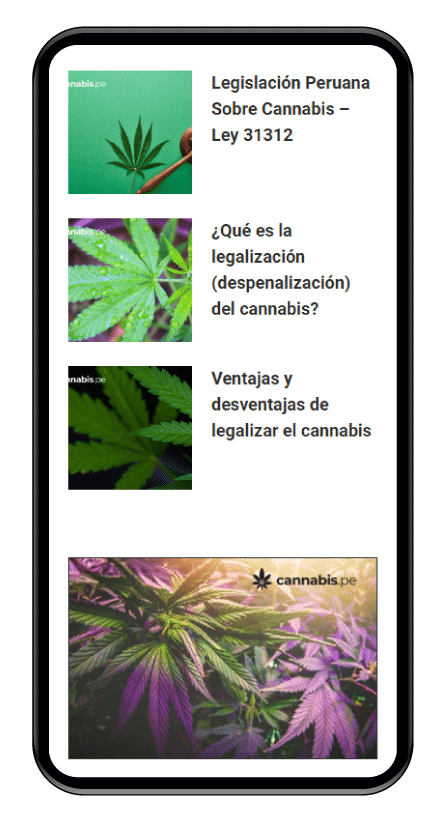 mockup-cannabis_5